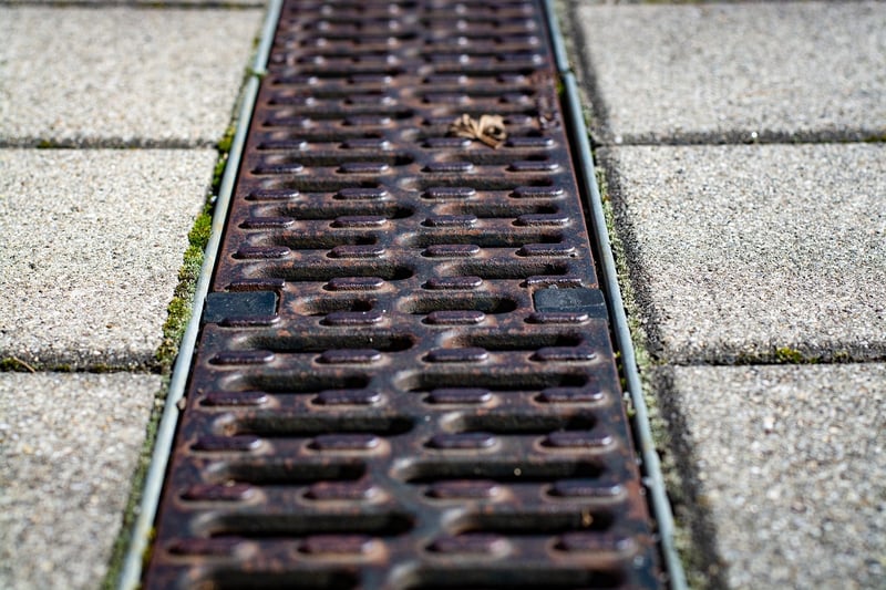 DIY Gutter Garden